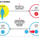 Image for article titled How Artificial Chromosomes Could Transform Humanity